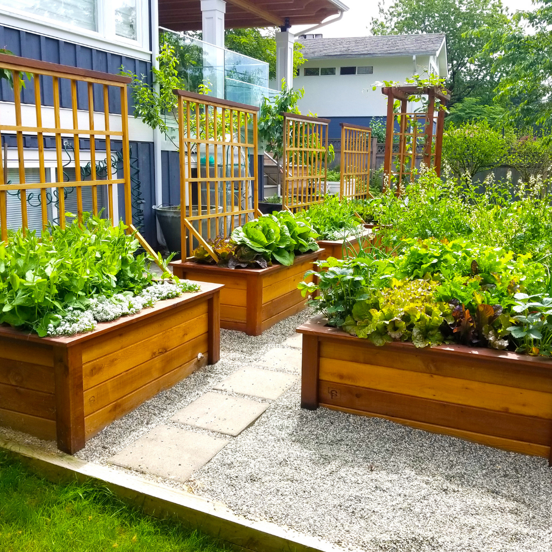 LifeSpace Edible Garden Consultation