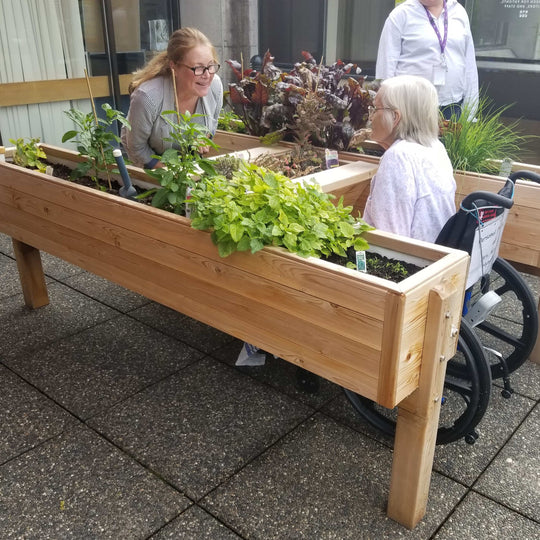 Harmony Accessibility Garden