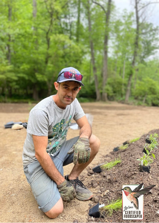 Tomorrow's Homestead | Edible Garden Consultation | South Eastern Pennsylvania