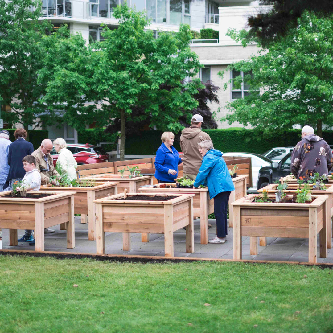 Elevated Heirloom - Self-Watering Planter