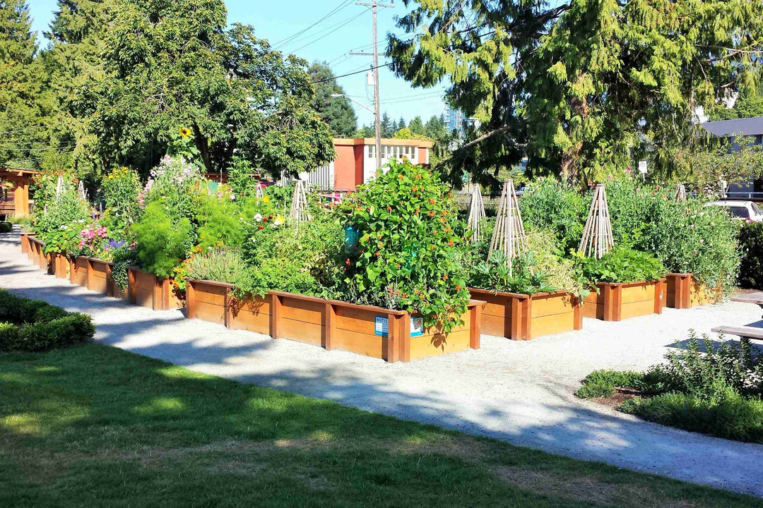 Heirloom - Self-Watering Planter